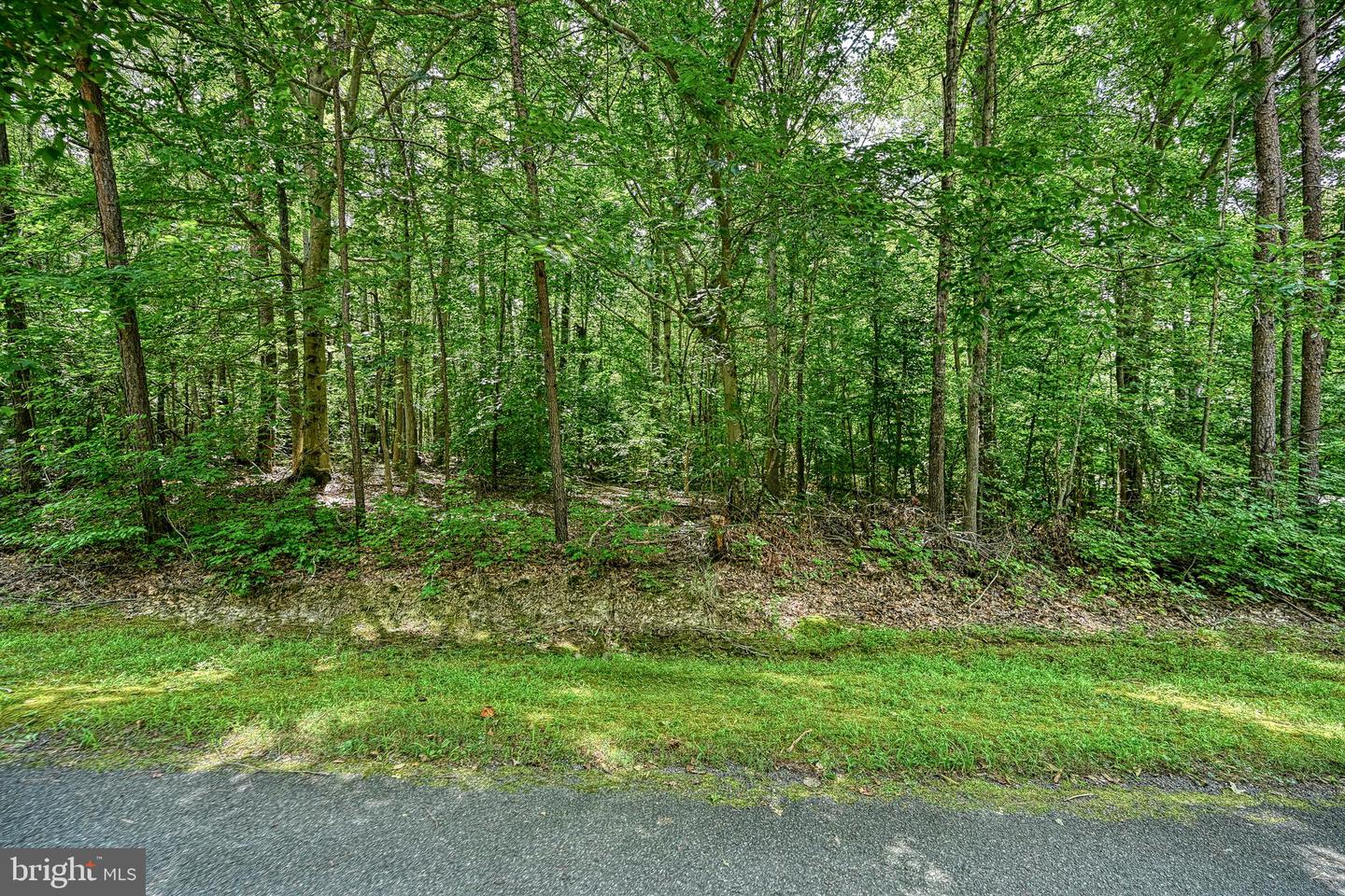 LOT 7 HICKORY LN, BUMPASS, Virginia 23024, ,Land,For sale,LOT 7 HICKORY LN,VALA2006216 MLS # VALA2006216