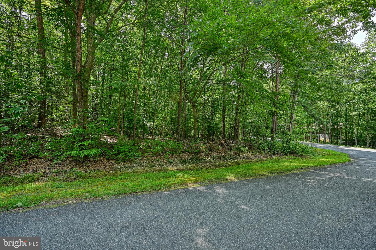 LOT 7 HICKORY LN, BUMPASS, Virginia 23024, ,Land,For sale,LOT 7 HICKORY LN,VALA2006216 MLS # VALA2006216