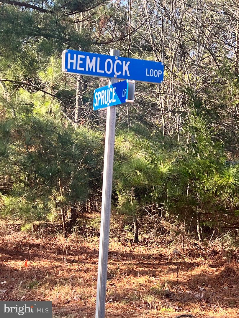 HEMLOCK LOOP #79, MINERAL, Virginia 23117, ,Land,For sale,HEMLOCK LOOP #79,VALA2006014 MLS # VALA2006014