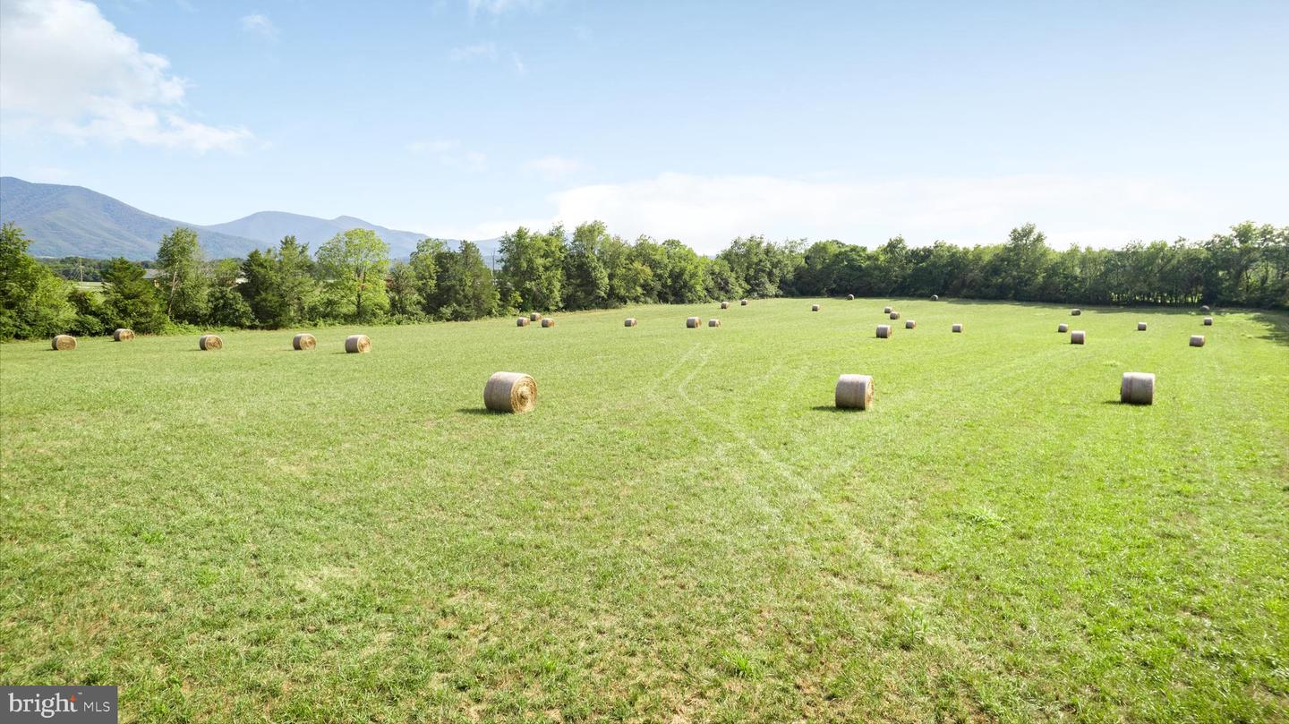 RESERVOIR AVE., LURAY, Virginia 22835, ,Land,For sale,RESERVOIR AVE.,VAPA2003922 MLS # VAPA2003922