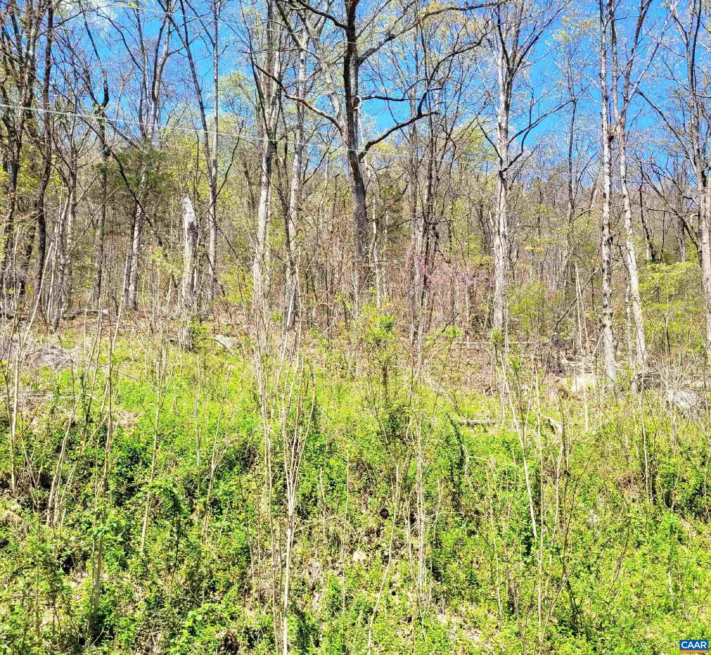 TBD LOT 41 FARMVIEW RD #41, STANARDSVILLE, Virginia 22973, ,Land,For sale,TBD LOT 41 FARMVIEW RD #41,655896 MLS # 655896