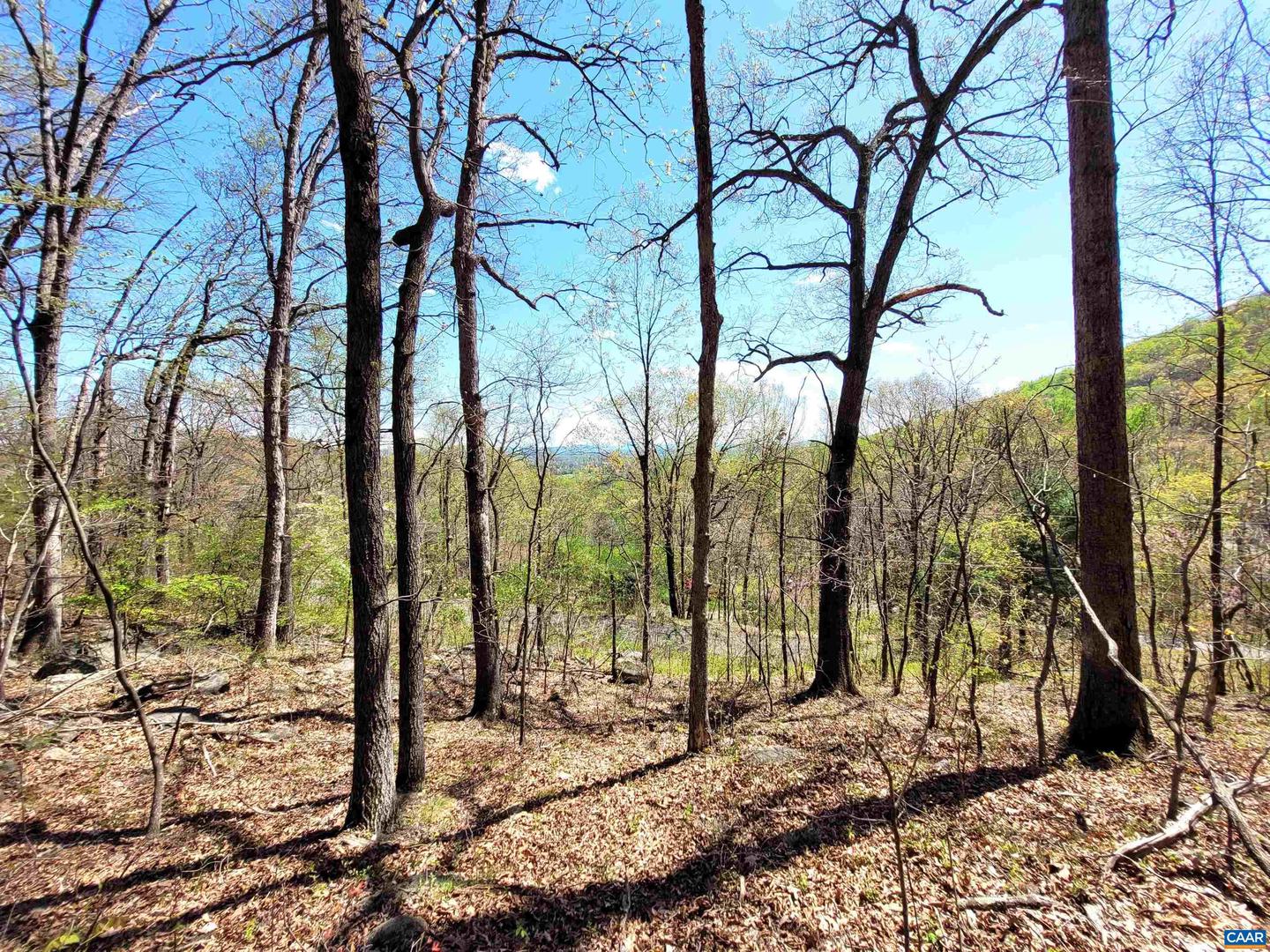 TBD LOT 41 FARMVIEW RD #41, STANARDSVILLE, Virginia 22973, ,Land,For sale,TBD LOT 41 FARMVIEW RD #41,655896 MLS # 655896