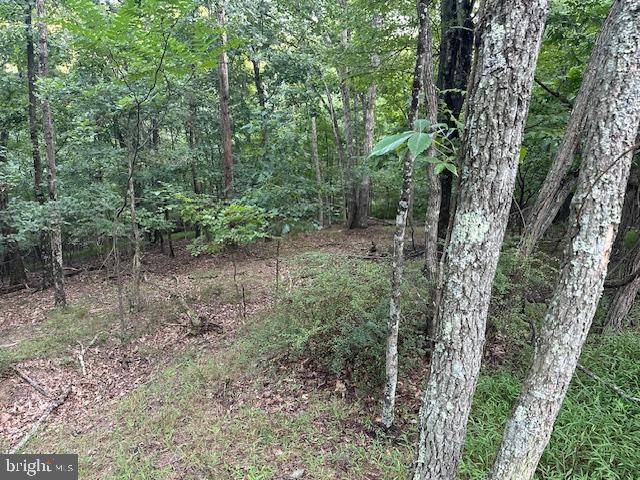 132 FOREST DR, CROSS JUNCTION, Virginia 22625, ,Land,For sale,132 FOREST DR,VAFV2021004 MLS # VAFV2021004