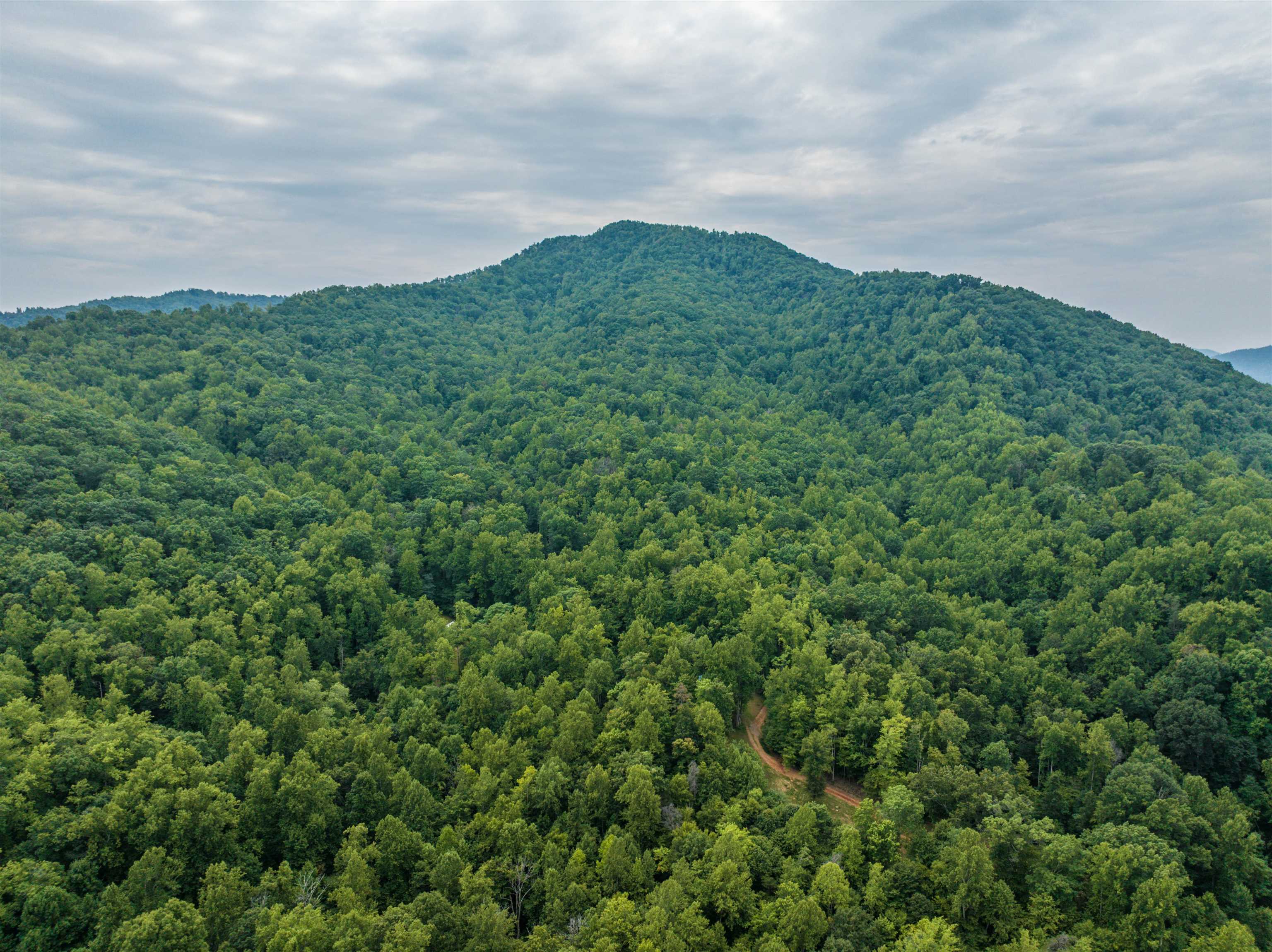 0 PILOT MOUNTAIN HOLLOW, FABER, Virginia 22938, ,Farm,0 PILOT MOUNTAIN HOLLOW,655953 MLS # 655953