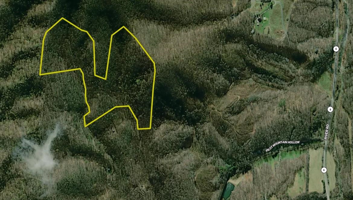 0 PILOT MOUNTAIN HOLLOW, FABER, Virginia 22938, ,Farm,0 PILOT MOUNTAIN HOLLOW,655953 MLS # 655953