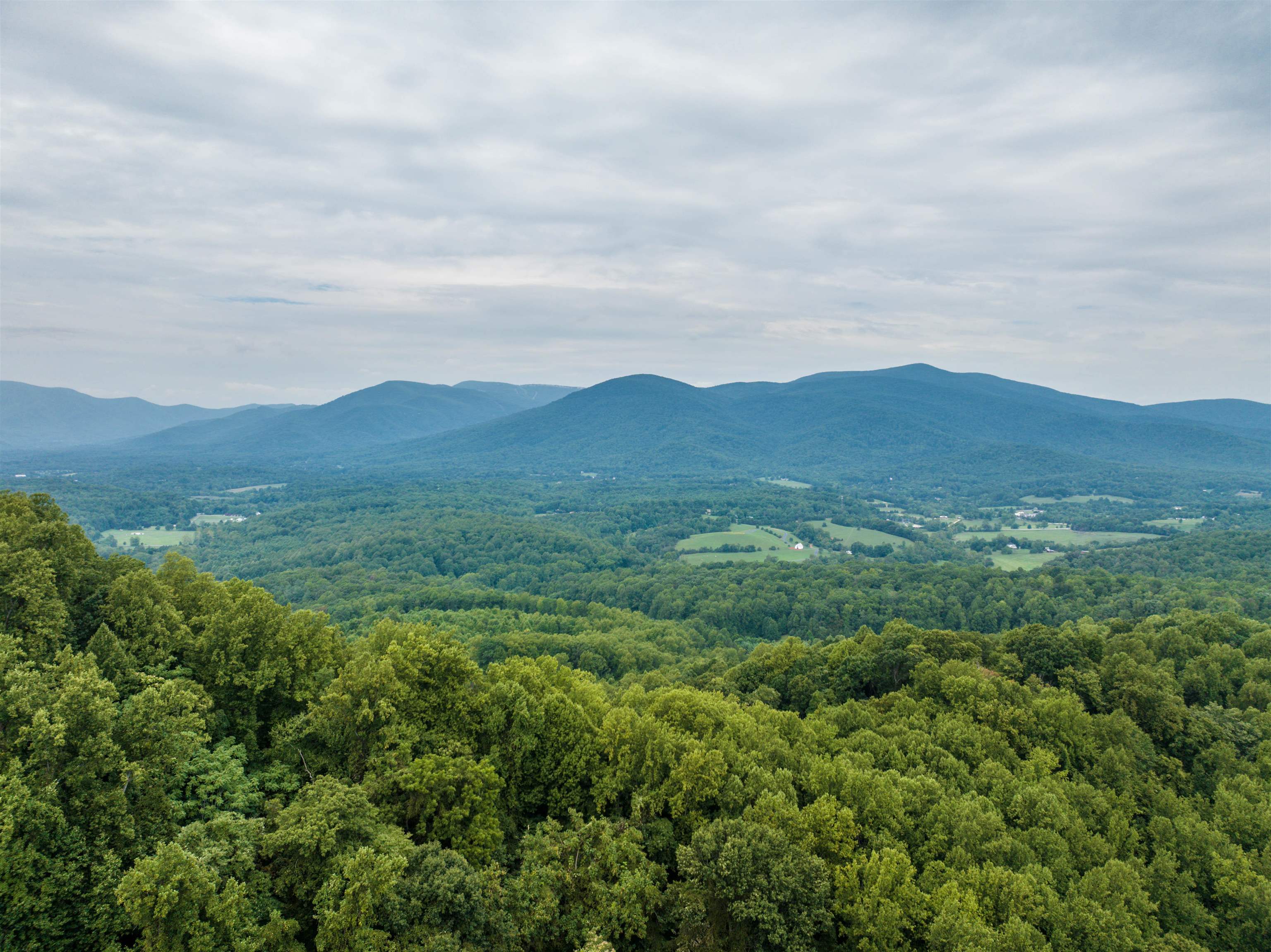 0 PILOT MOUNTAIN HOLLOW, FABER, Virginia 22938, ,Farm,0 PILOT MOUNTAIN HOLLOW,655953 MLS # 655953