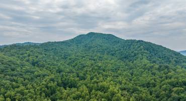 0 PILOT MOUNTAIN HOLLOW, FABER, Virginia 22938, ,Farm,0 PILOT MOUNTAIN HOLLOW,655953 MLS # 655953