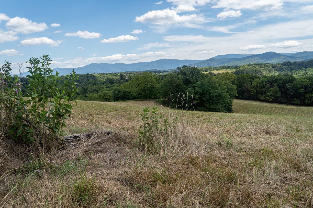 8 & 9 GALLOWAY SPRING LN, SHENANDOAH, Virginia 22849, ,Land,8 & 9 GALLOWAY SPRING LN,655958 MLS # 655958