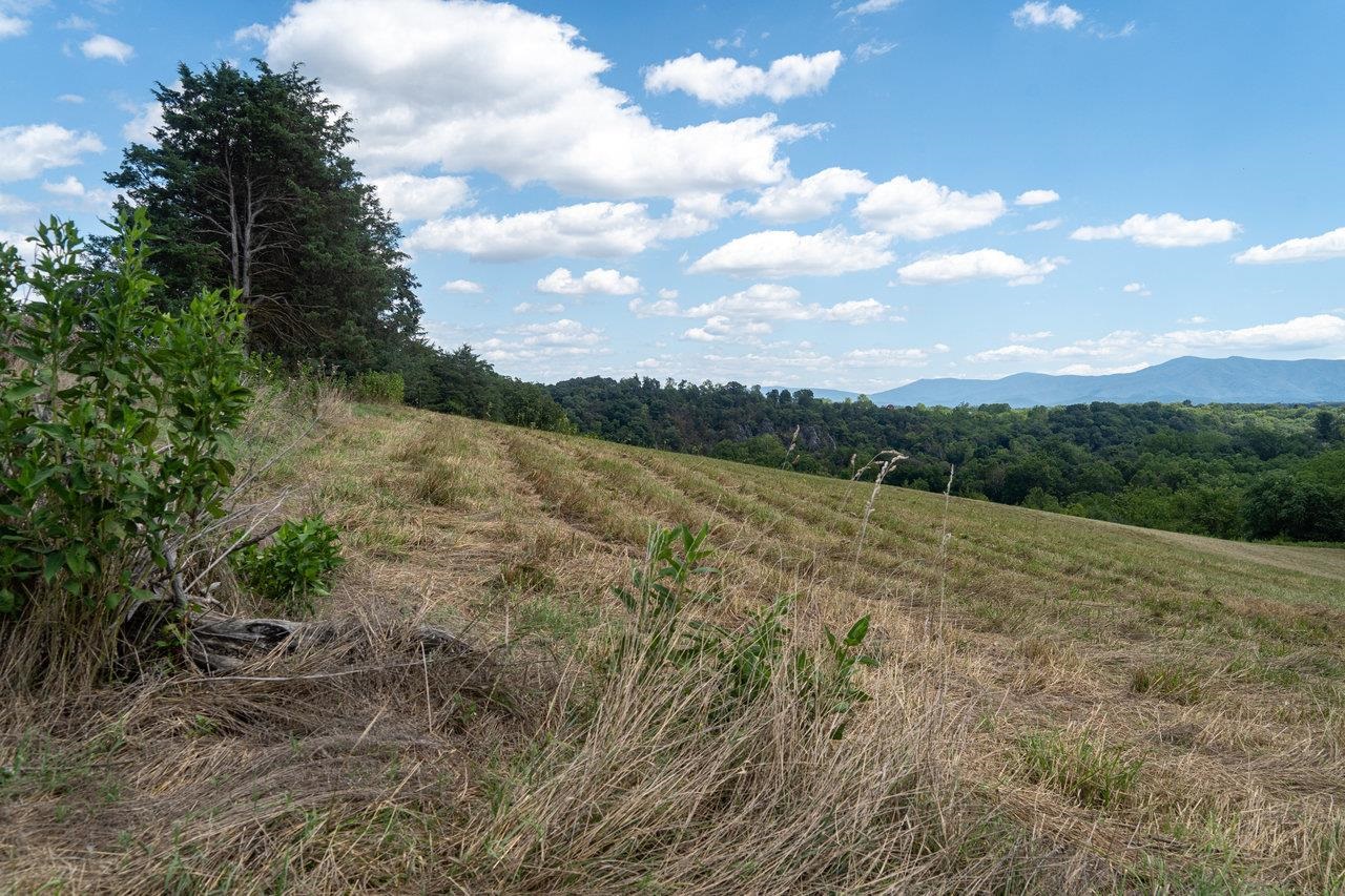 8 & 9 GALLOWAY SPRING LN, SHENANDOAH, Virginia 22849, ,Land,8 & 9 GALLOWAY SPRING LN,655958 MLS # 655958