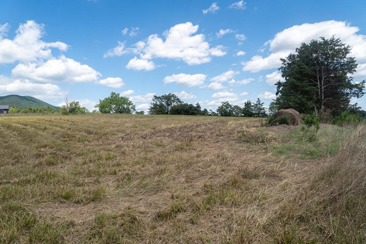 8 & 9 GALLOWAY SPRING LN, SHENANDOAH, Virginia 22849, ,Land,8 & 9 GALLOWAY SPRING LN,655958 MLS # 655958