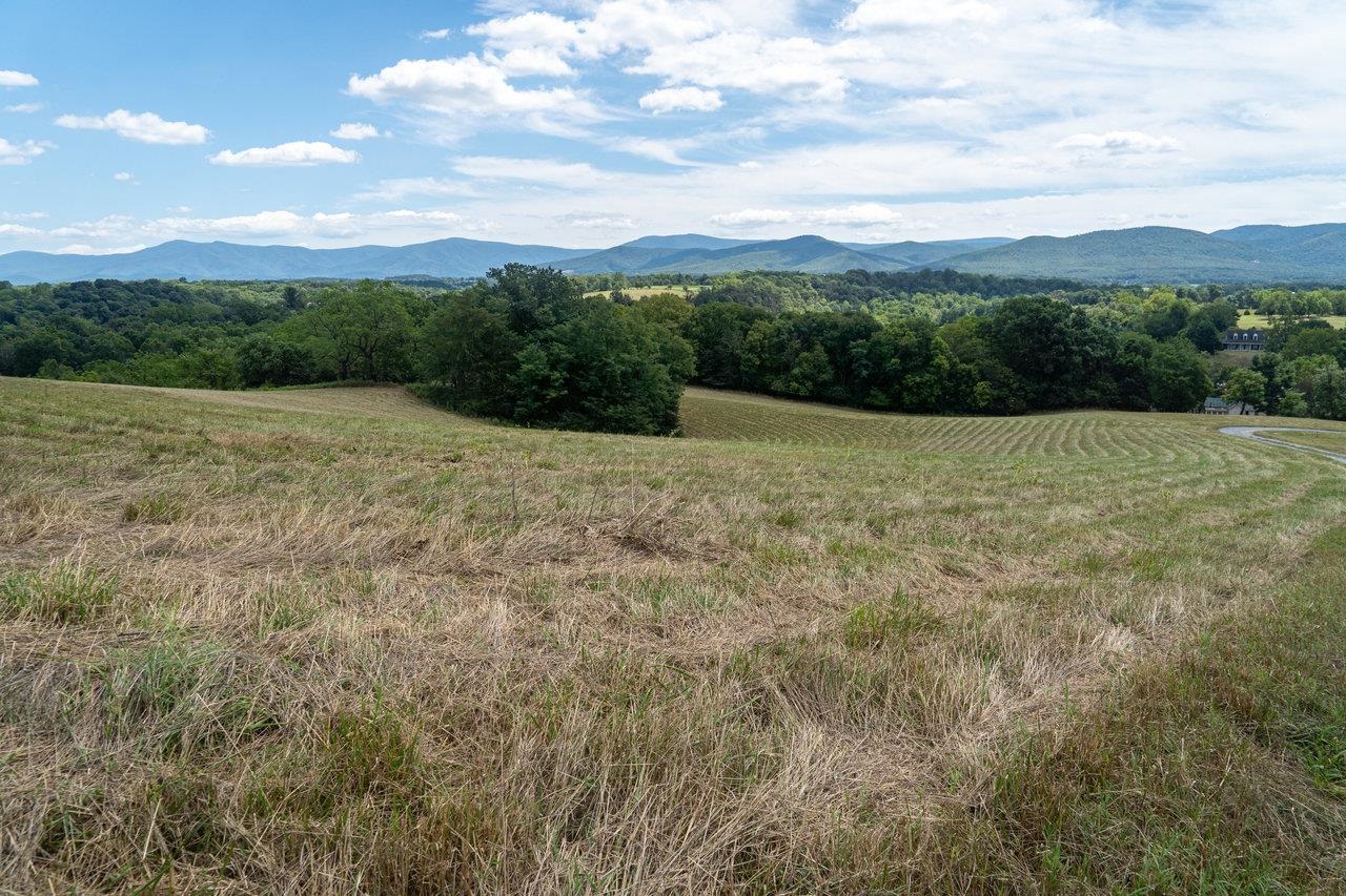 8 & 9 GALLOWAY SPRING LN, SHENANDOAH, Virginia 22849, ,Land,8 & 9 GALLOWAY SPRING LN,655958 MLS # 655958