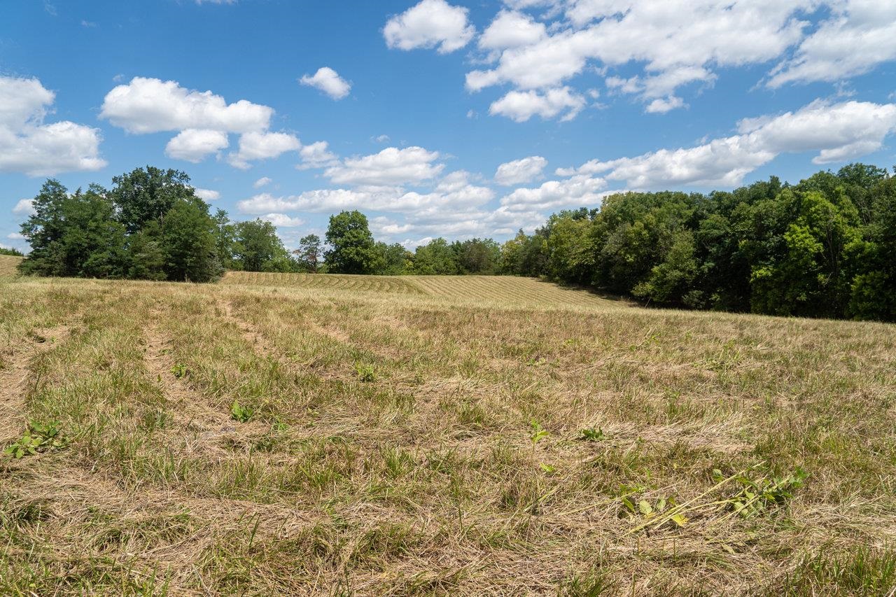 8 & 9 GALLOWAY SPRING LN, SHENANDOAH, Virginia 22849, ,Land,8 & 9 GALLOWAY SPRING LN,655958 MLS # 655958