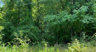 FAIRVIEW DR, KING GEORGE, Virginia 22485, ,Land,For sale,FAIRVIEW DR,VAKG2005332 MLS # VAKG2005332