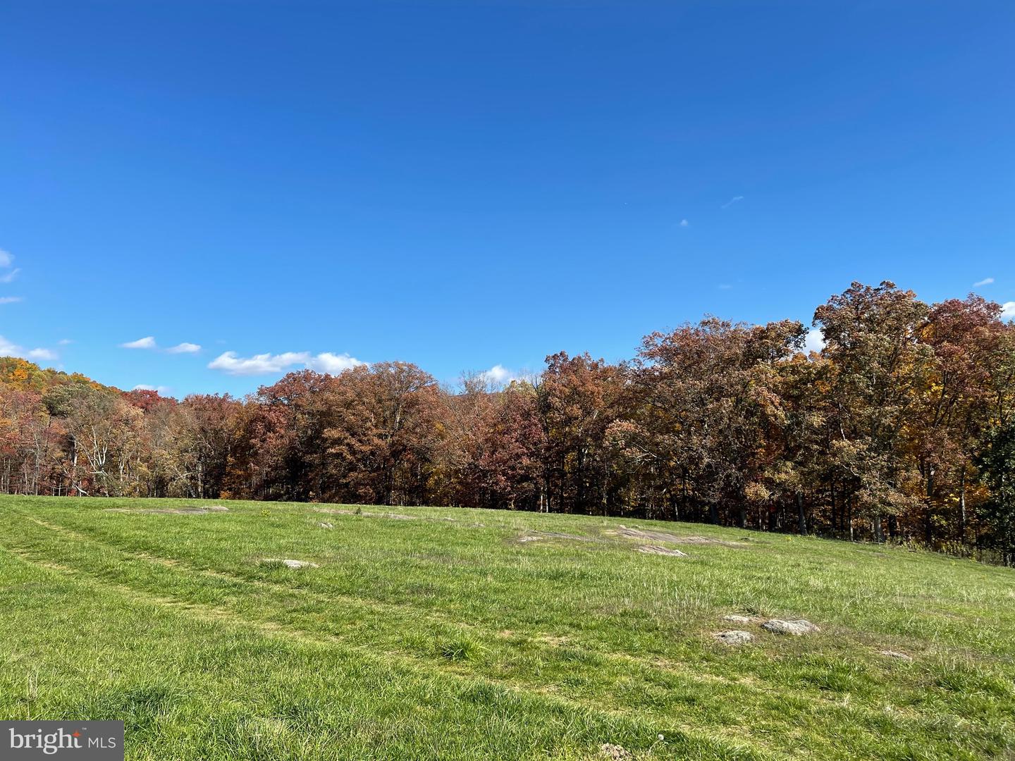 LOT 63C BUCK MOUNTAIN RD, BENTONVILLE, Virginia 22610, ,Land,For sale,LOT 63C BUCK MOUNTAIN RD,VAWR2008856 MLS # VAWR2008856