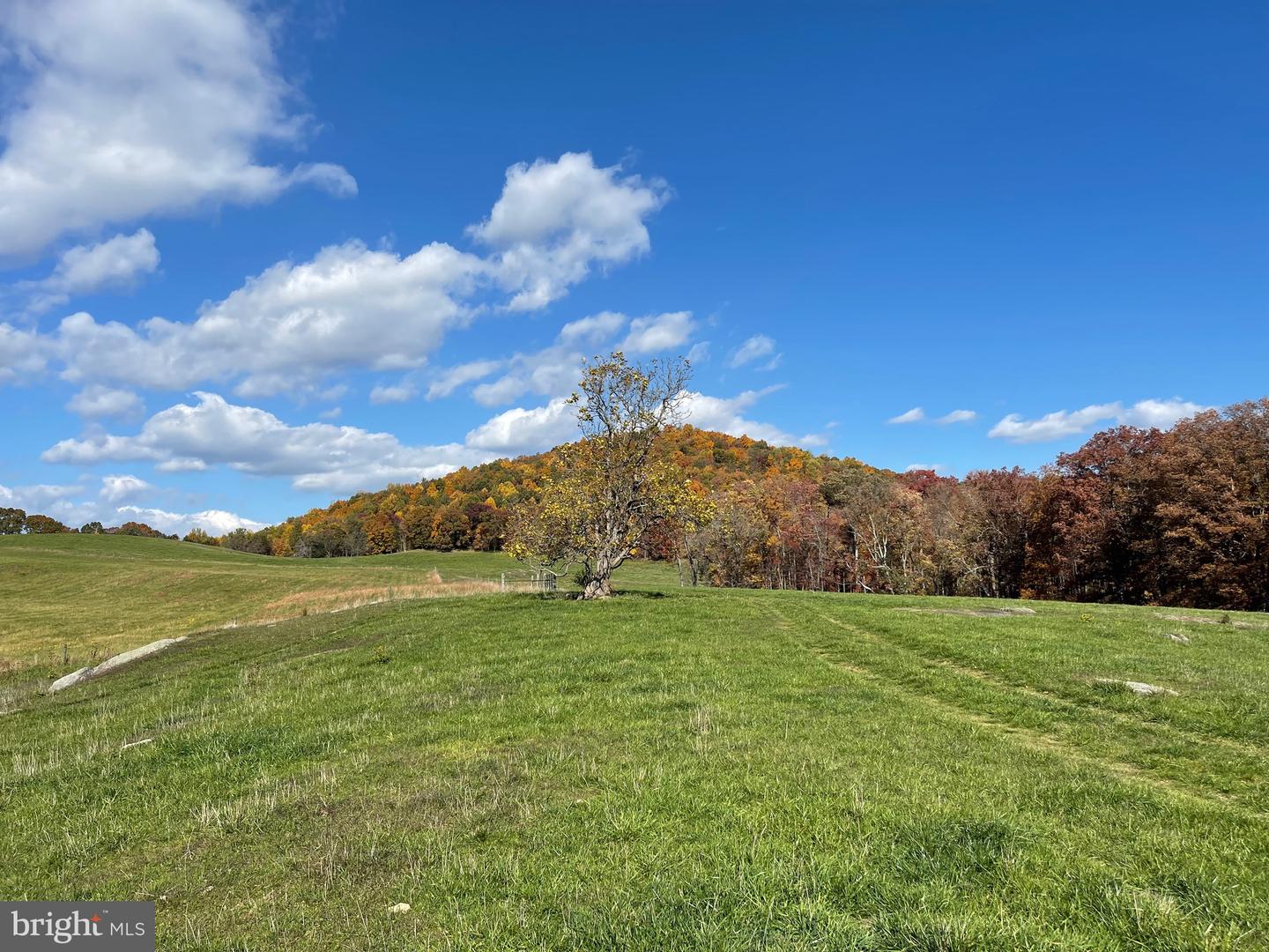 LOT 63C BUCK MOUNTAIN RD, BENTONVILLE, Virginia 22610, ,Land,For sale,LOT 63C BUCK MOUNTAIN RD,VAWR2008856 MLS # VAWR2008856