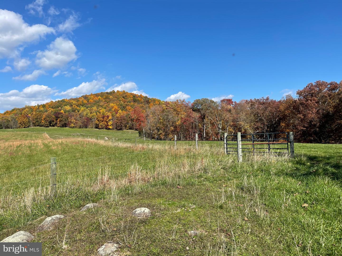 LOT 63C BUCK MOUNTAIN RD, BENTONVILLE, Virginia 22610, ,Land,For sale,LOT 63C BUCK MOUNTAIN RD,VAWR2008856 MLS # VAWR2008856