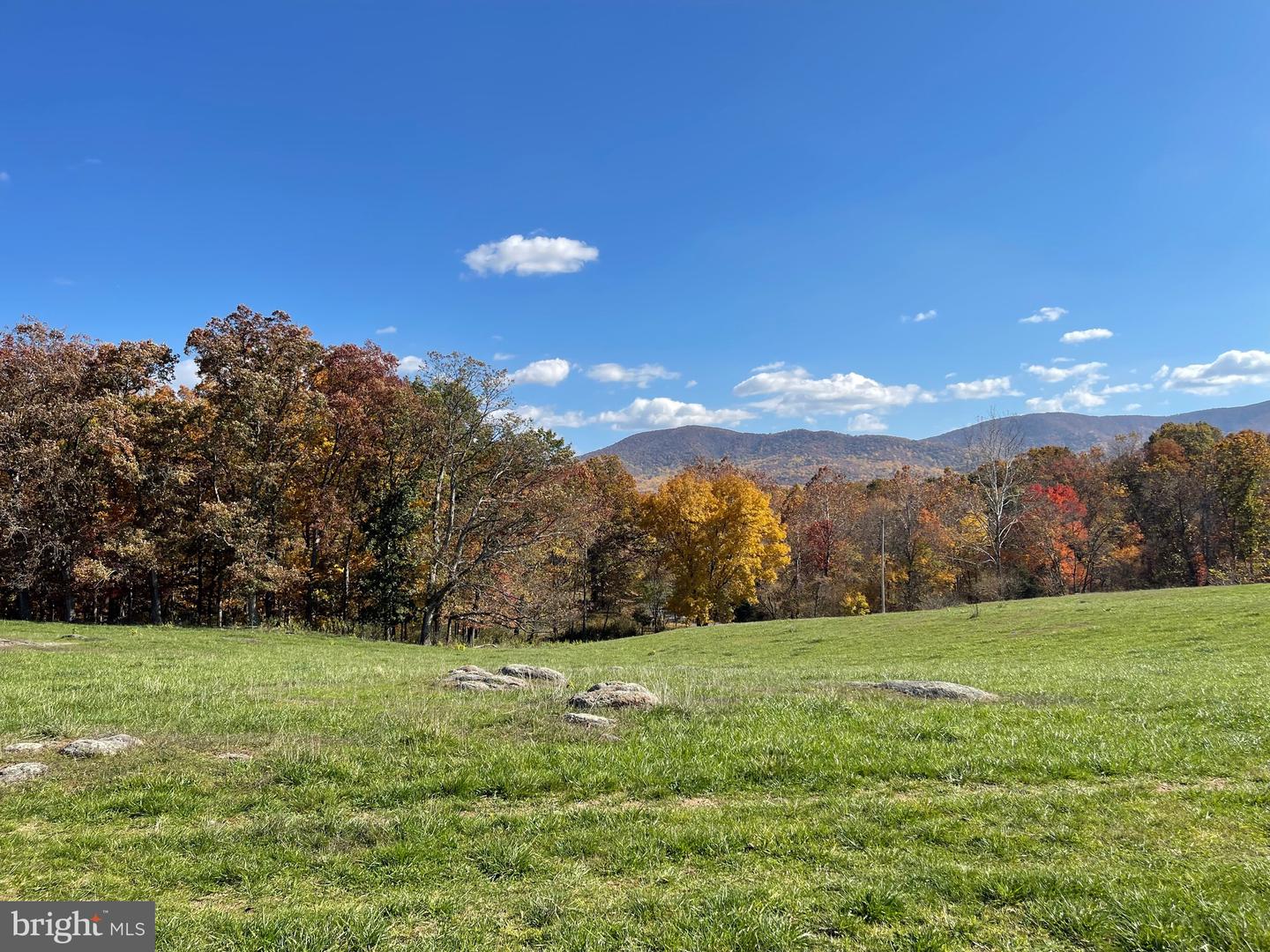 LOT 63C BUCK MOUNTAIN RD, BENTONVILLE, Virginia 22610, ,Land,For sale,LOT 63C BUCK MOUNTAIN RD,VAWR2008856 MLS # VAWR2008856