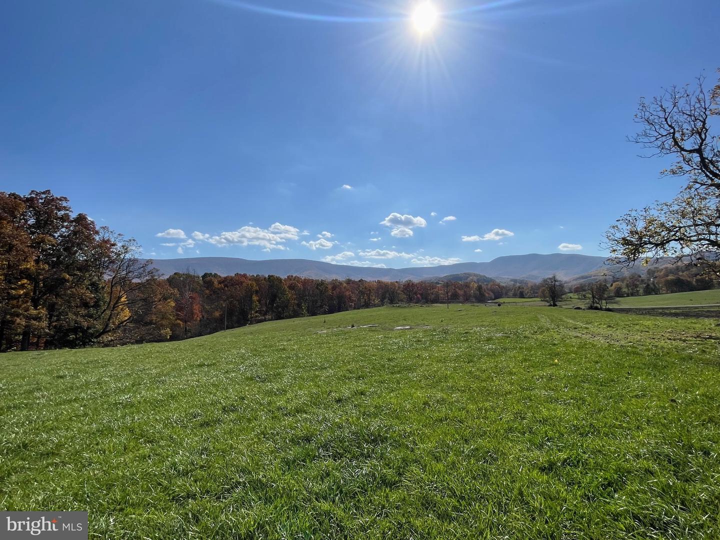 LOT 63C BUCK MOUNTAIN RD, BENTONVILLE, Virginia 22610, ,Land,For sale,LOT 63C BUCK MOUNTAIN RD,VAWR2008856 MLS # VAWR2008856