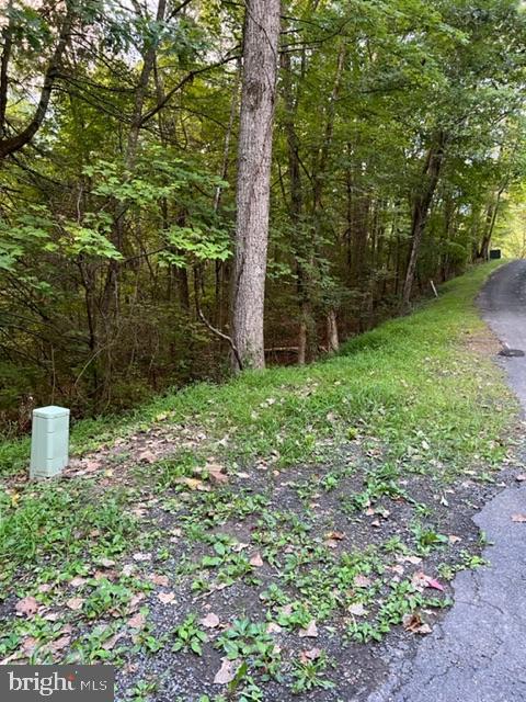 WILLOW LOT 183, MOUNT JACKSON, Virginia 22842, ,Land,For sale,WILLOW LOT 183,VASH2009302 MLS # VASH2009302