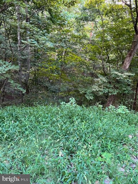 WILLOW LOT 183, MOUNT JACKSON, Virginia 22842, ,Land,For sale,WILLOW LOT 183,VASH2009302 MLS # VASH2009302