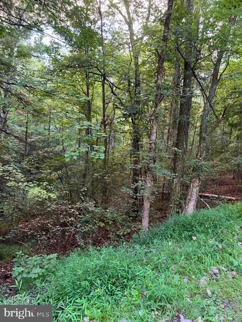 WILLOW LOT 183, MOUNT JACKSON, Virginia 22842, ,Land,For sale,WILLOW LOT 183,VASH2009302 MLS # VASH2009302