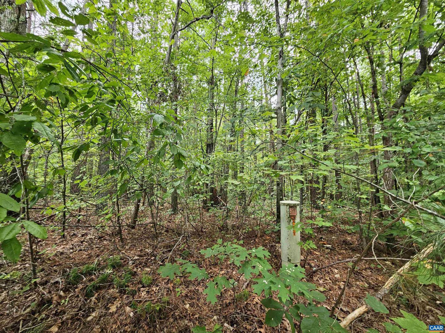 SLATE RIVER TRL #24, ARVONIA, Virginia 23004, ,Land,For sale,SLATE RIVER TRL #24,655042 MLS # 655042