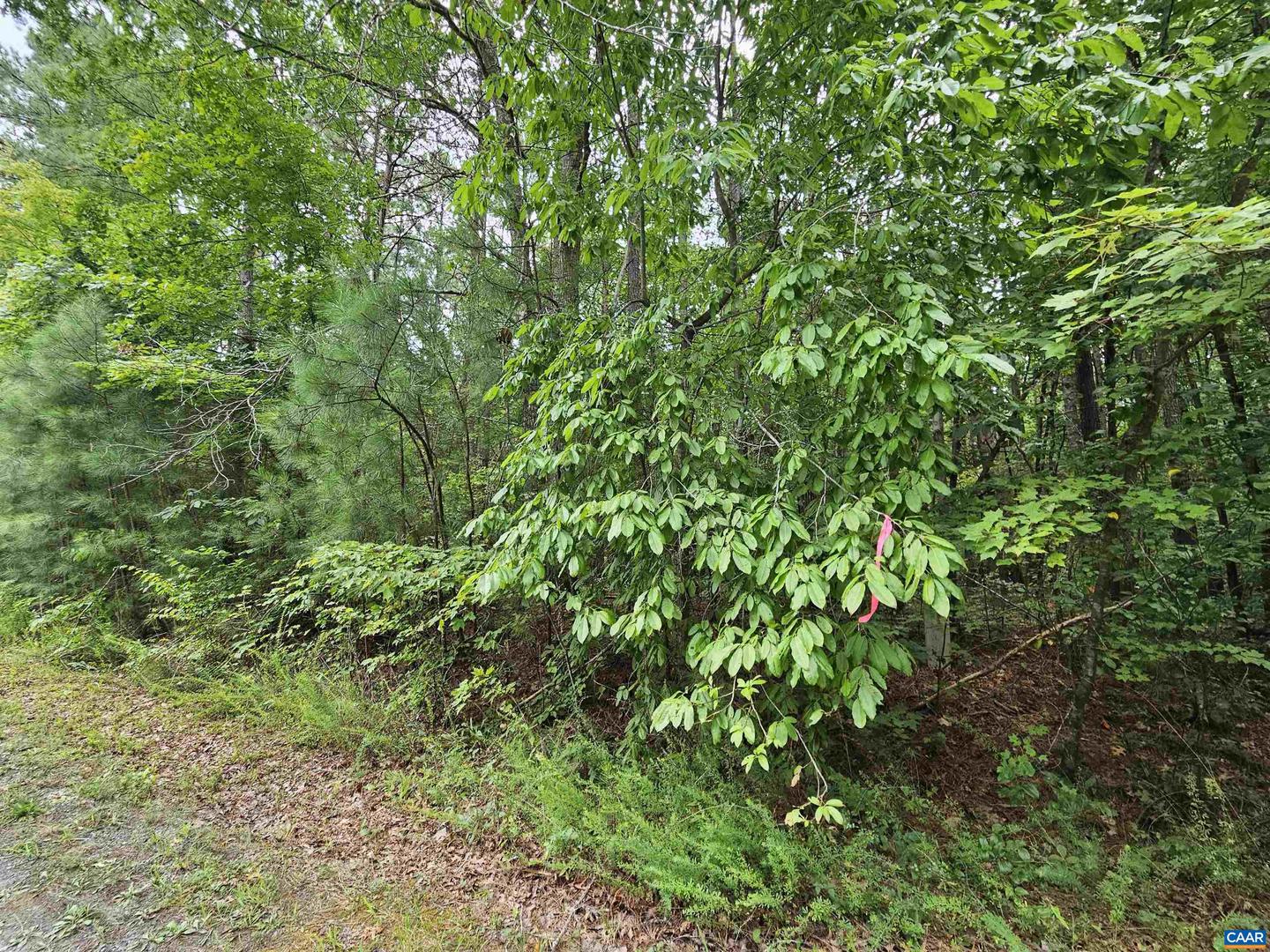 SLATE RIVER TRL #24, ARVONIA, Virginia 23004, ,Land,For sale,SLATE RIVER TRL #24,655042 MLS # 655042