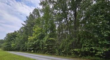 SLATE RIVER TRL #24, ARVONIA, Virginia 23004, ,Land,For sale,SLATE RIVER TRL #24,655042 MLS # 655042