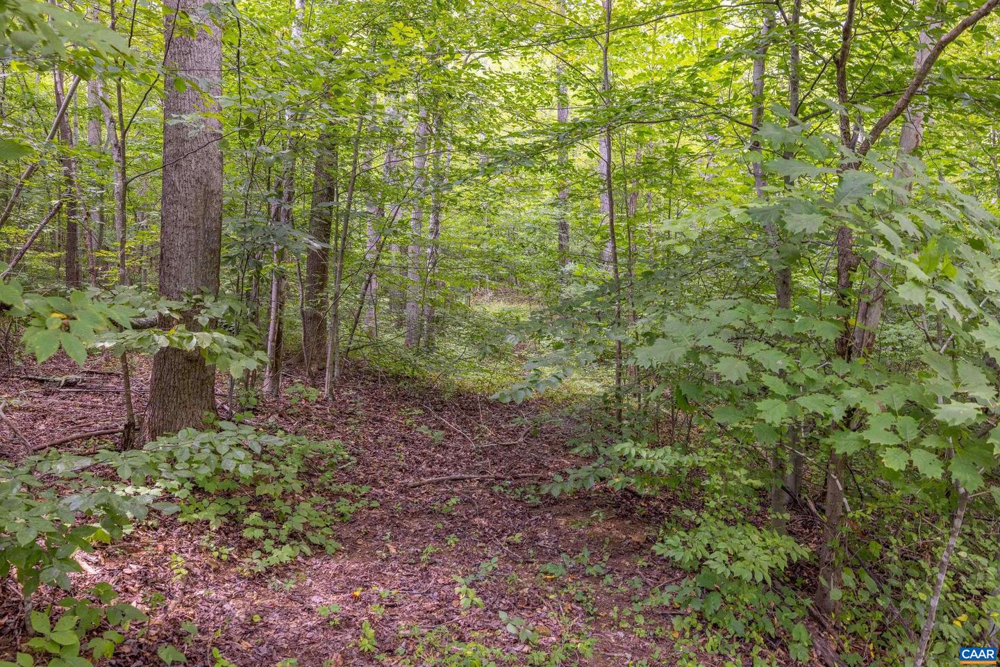 0 MAE DR, STANARDSVILLE, Virginia 22973, ,Land,For sale,0 MAE DR,655991 MLS # 655991