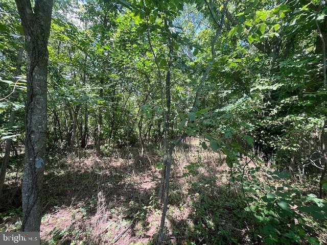 0 HOOK HILL ROAD, LURAY, Virginia 22835, ,Land,For sale,0 HOOK HILL ROAD,VAPA2003936 MLS # VAPA2003936