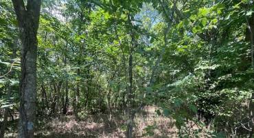 0 HOOK HILL ROAD, LURAY, Virginia 22835, ,Land,For sale,0 HOOK HILL ROAD,VAPA2003936 MLS # VAPA2003936