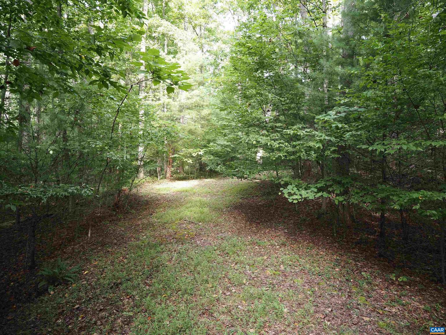 LOT #16 LANGDON WOODS DR, DYKE, Virginia 22935, ,Land,For sale,LOT #16 LANGDON WOODS DR,655996 MLS # 655996