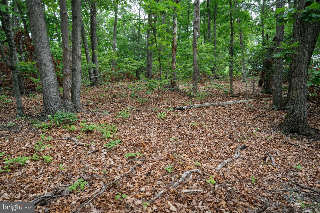 LOT 44 N VIEW DR, STANLEY, Virginia 22851, ,Land,For sale,LOT 44 N VIEW DR,VAPA2003500 MLS # VAPA2003500