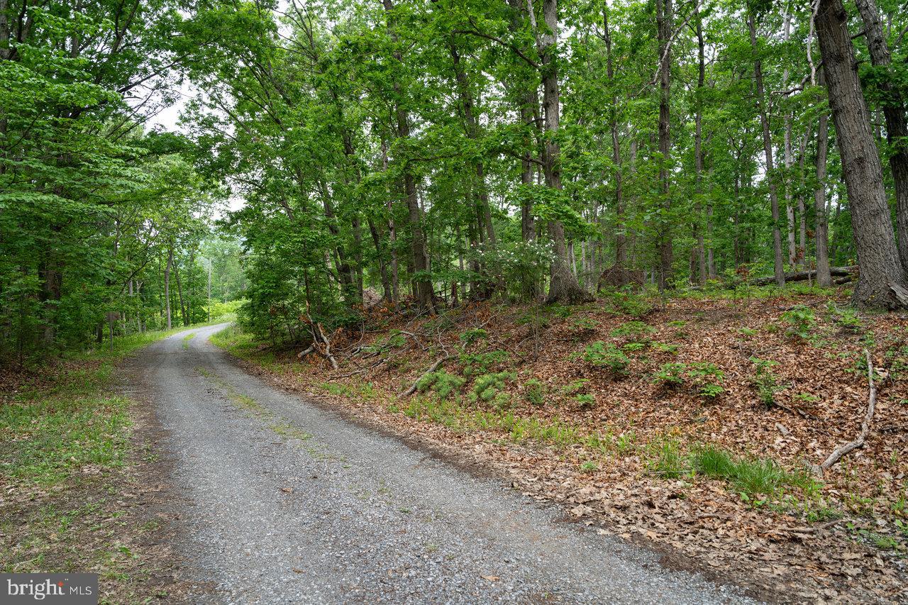 LOT 44 N VIEW DR, STANLEY, Virginia 22851, ,Land,For sale,LOT 44 N VIEW DR,VAPA2003500 MLS # VAPA2003500