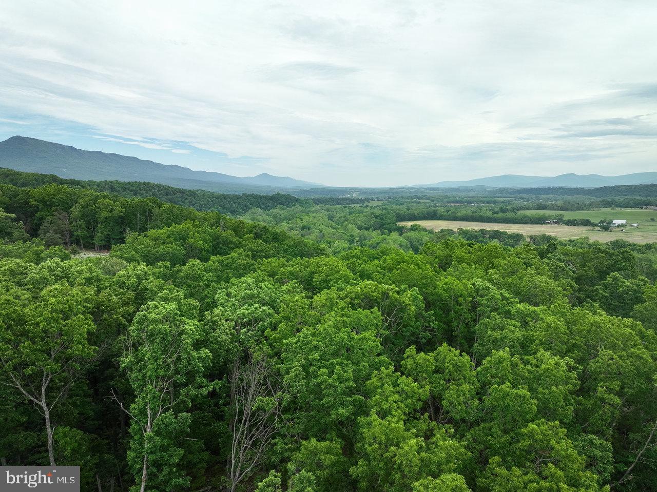 LOT 44 N VIEW DR, STANLEY, Virginia 22851, ,Land,For sale,LOT 44 N VIEW DR,VAPA2003500 MLS # VAPA2003500