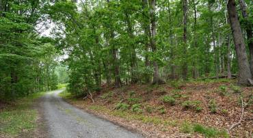 Off N VIEW DR, STANLEY, Virginia 22851, ,Land,Off N VIEW DR,652714 MLS # 652714