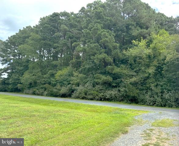 LOT 227 SMUGGLERS WAY, GREENBACKVILLE, Virginia 23356, ,Land,For sale,LOT 227 SMUGGLERS WAY,VAAC2001300 MLS # VAAC2001300