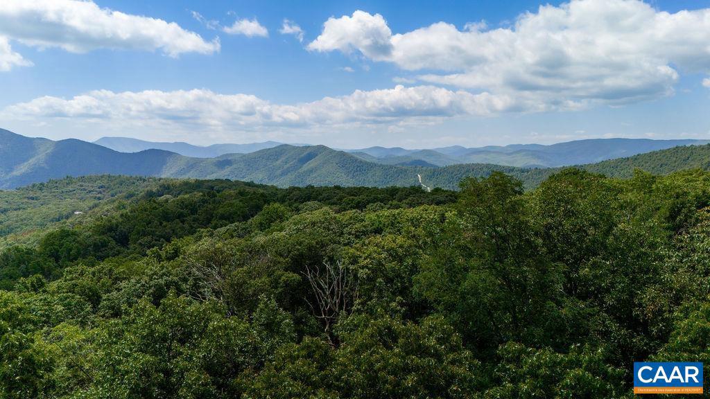 67 DOGWOOD RD #51, WINTERGREEN RESORT, Virginia 22967, ,Land,For sale,67 DOGWOOD RD #51,656091 MLS # 656091