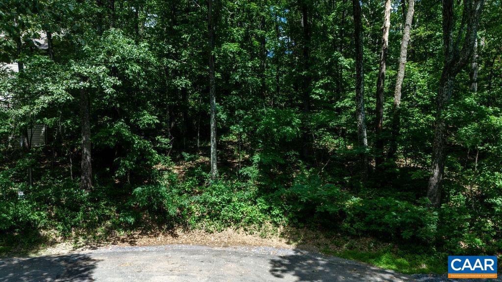 67 DOGWOOD RD #51, WINTERGREEN RESORT, Virginia 22967, ,Land,For sale,67 DOGWOOD RD #51,656091 MLS # 656091