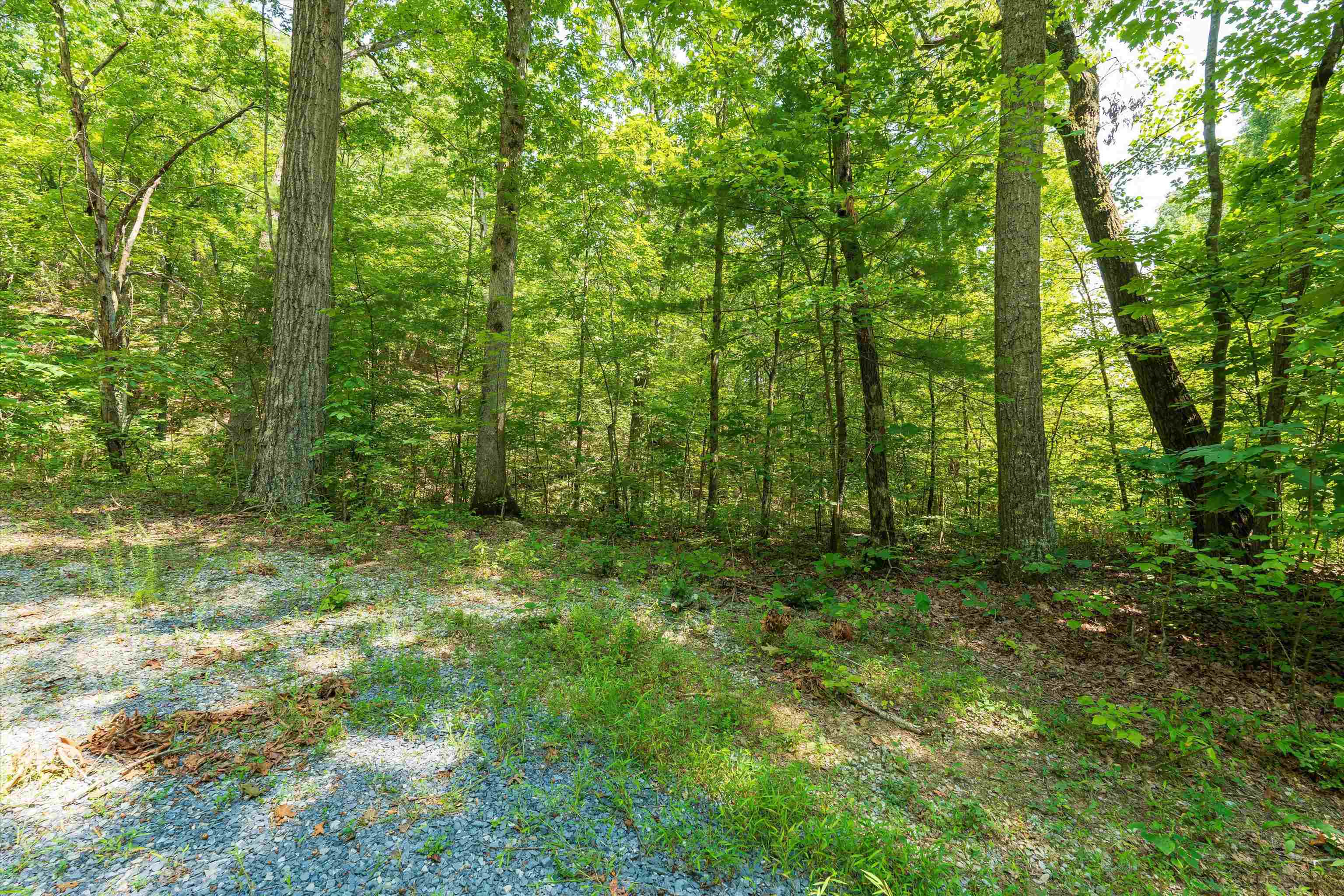 TBD SHALE RD, SHENANDOAH, Virginia 22849, ,Land,TBD SHALE RD,656107 MLS # 656107