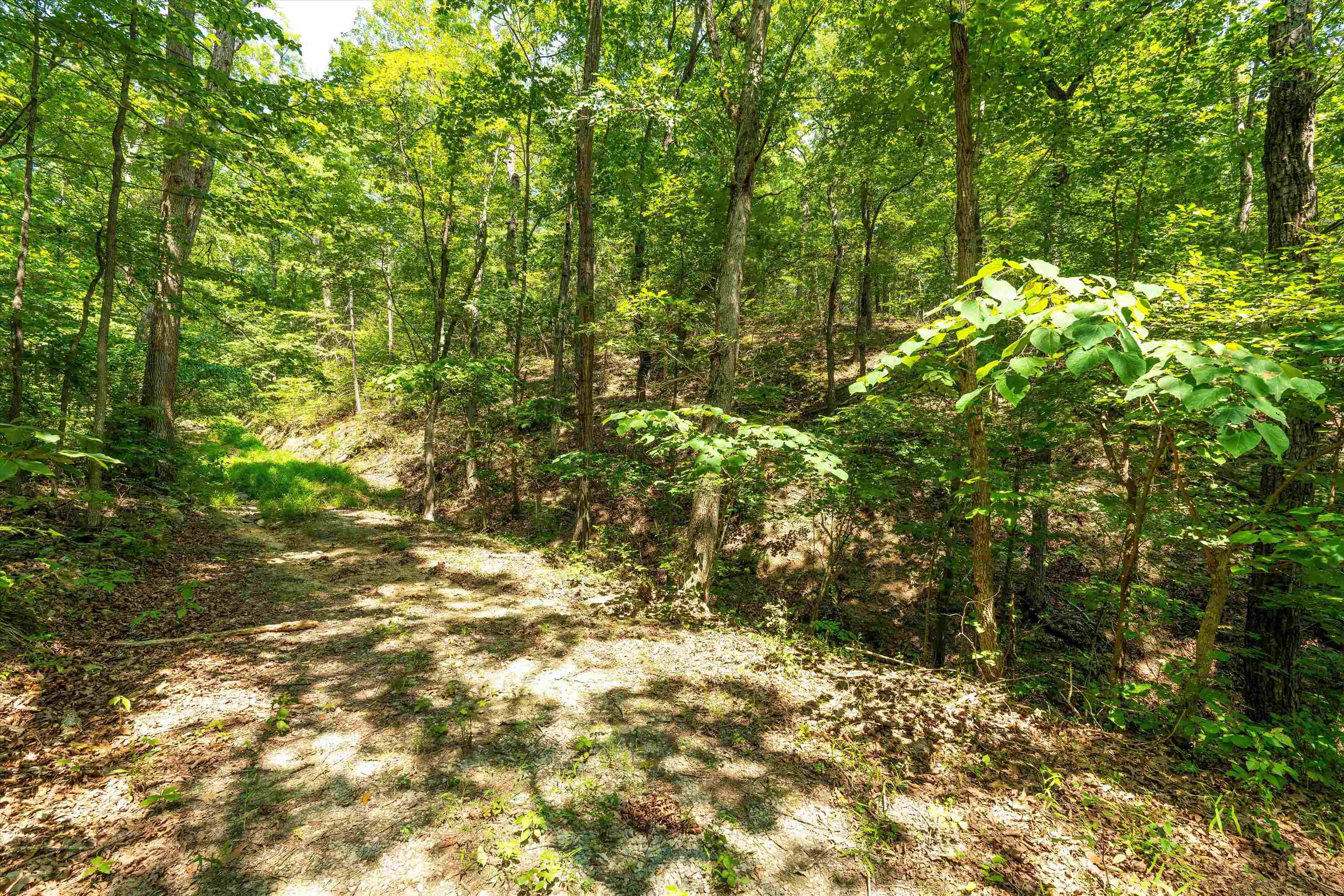 TBD SHALE RD, SHENANDOAH, Virginia 22849, ,Land,TBD SHALE RD,656107 MLS # 656107