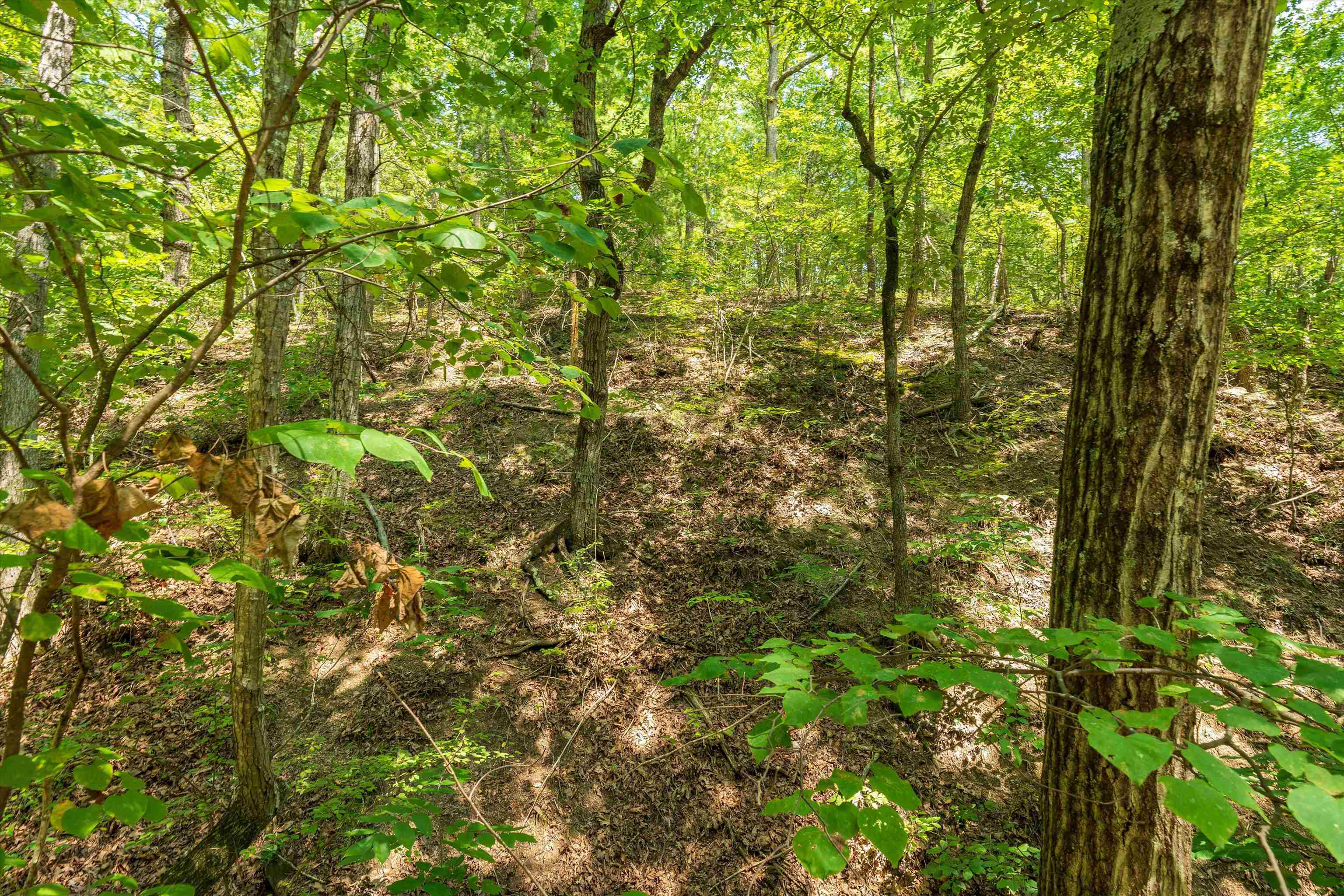 TBD SHALE RD, SHENANDOAH, Virginia 22849, ,Land,TBD SHALE RD,656107 MLS # 656107