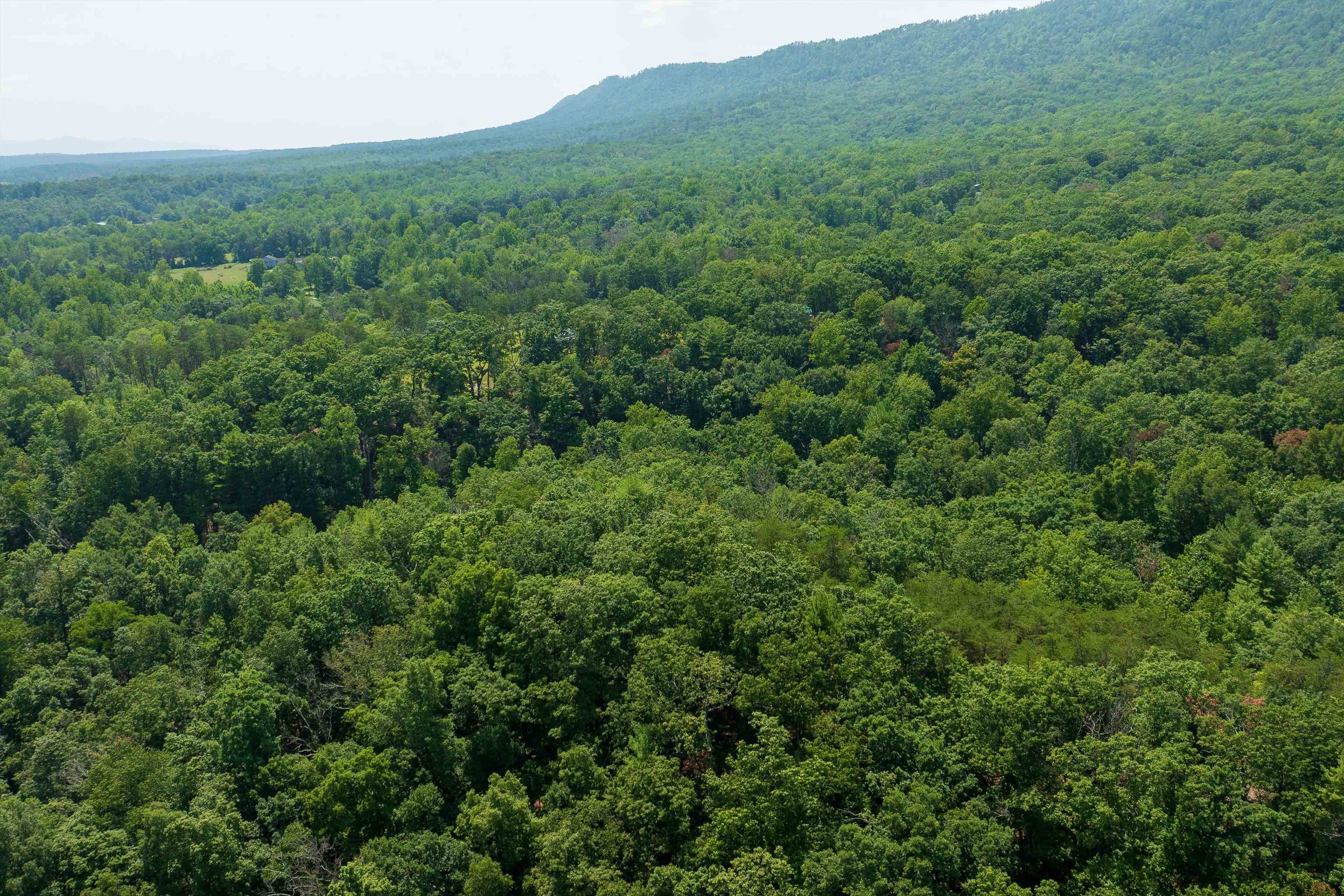 TBD SHALE RD, SHENANDOAH, Virginia 22849, ,Land,TBD SHALE RD,656107 MLS # 656107