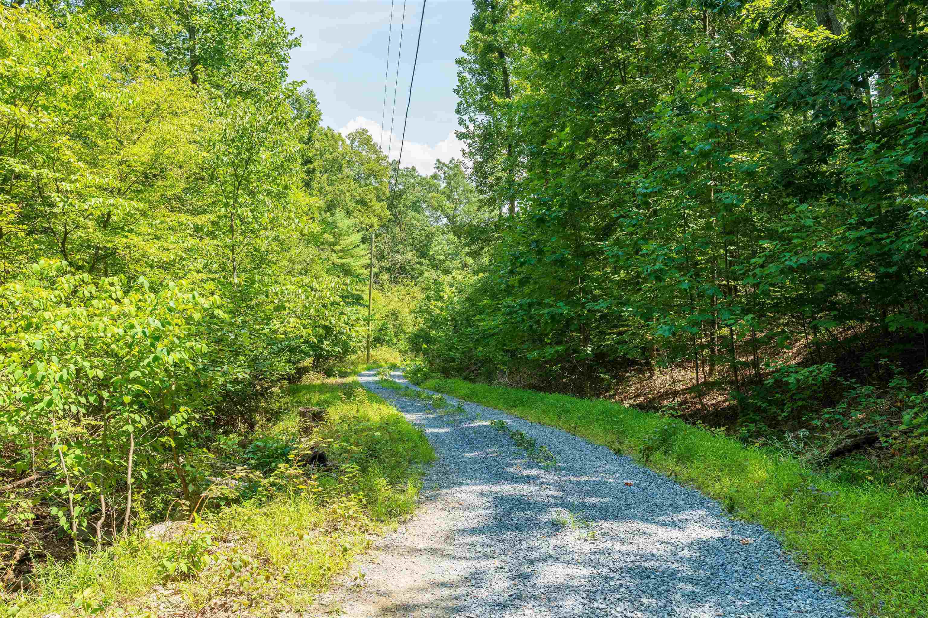 TBD SHALE RD, SHENANDOAH, Virginia 22849, ,Land,TBD SHALE RD,656107 MLS # 656107