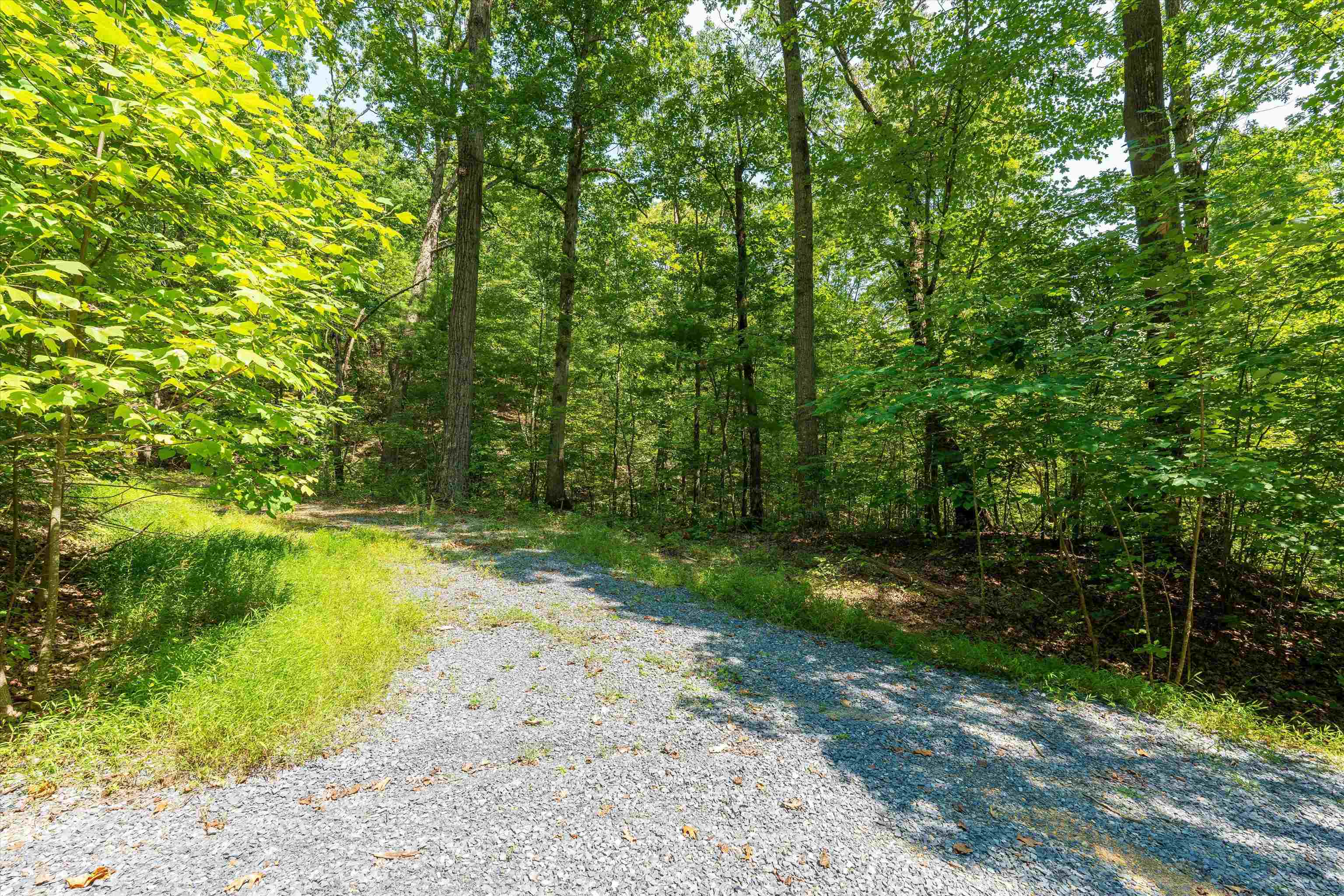 TBD SHALE RD, SHENANDOAH, Virginia 22849, ,Land,TBD SHALE RD,656107 MLS # 656107