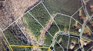 LOT 57 OLD FOREST DR, PALMYRA, Virginia 22963, ,Land,For sale,LOT 57 OLD FOREST DR,656101 MLS # 656101