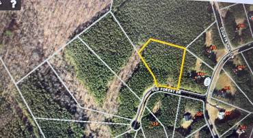 LOT 61 OLD FOREST DR, PALMYRA, Virginia 22963, ,Land,For sale,LOT 61 OLD FOREST DR,656102 MLS # 656102