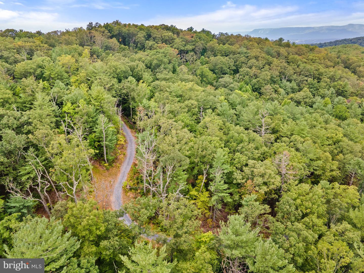 0 DRY RUN ROAD, LURAY, Virginia 22835, ,Land,For sale,0 DRY RUN ROAD,VAPA2003948 MLS # VAPA2003948