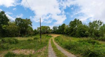 1229 ROSSER AVE, WAYNESBORO, Virginia 22980, ,Land,1229 ROSSER AVE,656135 MLS # 656135