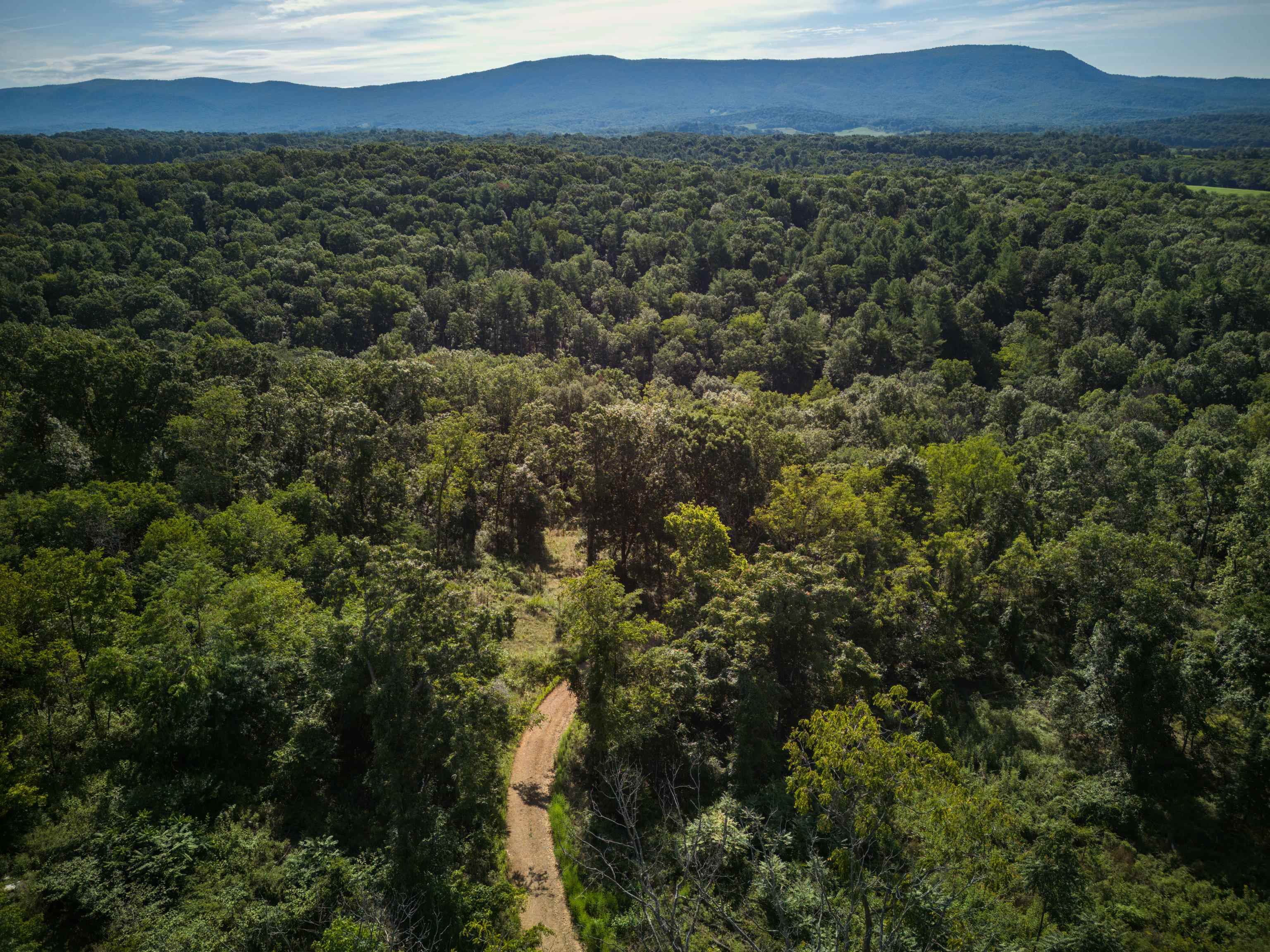 TBD LIME KILN DR, ROCKINGHAM, Virginia 22802, ,Land,TBD LIME KILN DR,656137 MLS # 656137